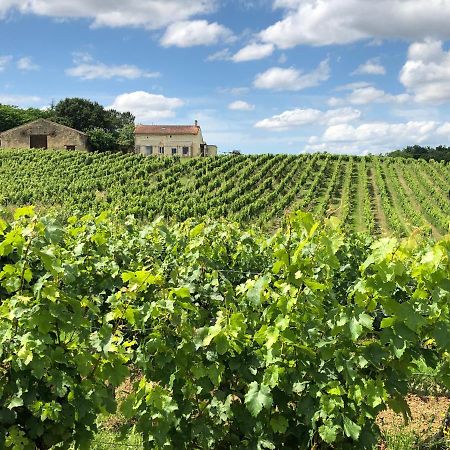 Chateau Le Truch Montussan Esterno foto