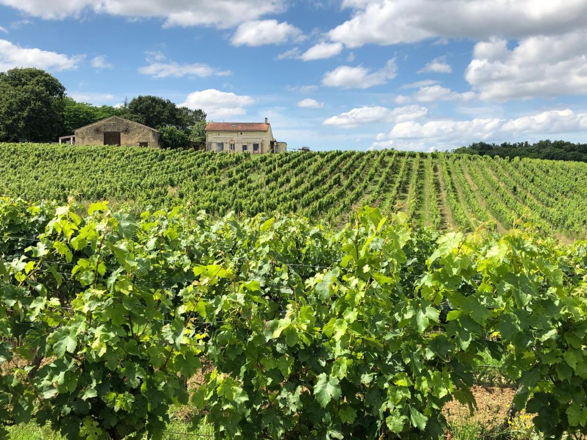 Chateau Le Truch Montussan Esterno foto